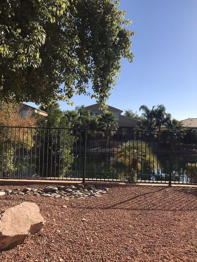 Outdoor area with a large tree providing shade, a black metal fence, various palm trees and bushes, a pond or water feature behind the fence, and residential buildings in the background under a clear blue sky.