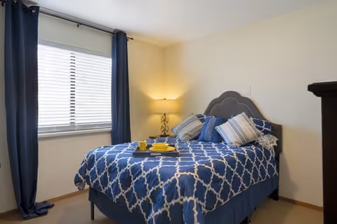 A bedroom with a bed covered in a blue and white patterned comforter and several pillows. There is a window with dark blue curtains on the left side and a lit table lamp on a nightstand in the corner. The walls are light-colored and the floor is carpeted.