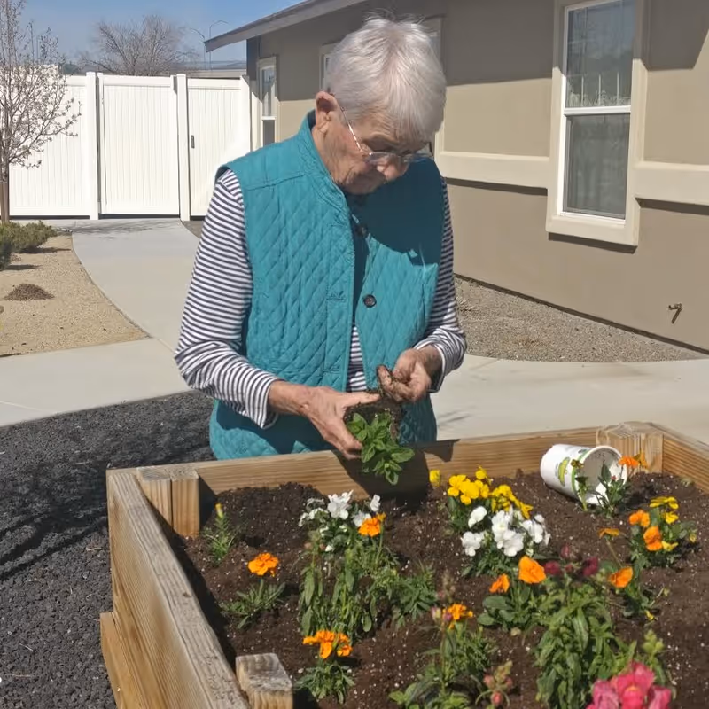 An elderly woman wearing a teal quilted vest and striped long-sleeve shirt is gardening outdoors, planting flowers in a raised wooden garden bed filled with soil and colorful flowers. The background shows a paved walkway, a beige building with windows, and a white fence.
