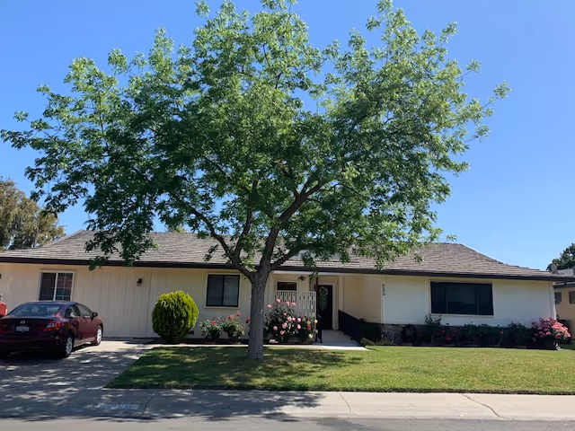 Single-story residential building with a tree and well-maintained lawn in front, a driveway with a parked car on the left, and clear blue sky above.
