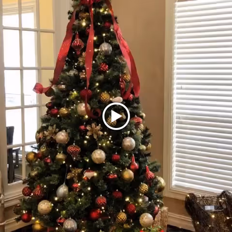 A decorated Christmas tree adorned with red ribbons, gold and red ornaments, and white lights stands in a room with a window covered by white blinds and a glass-paneled door in the background.