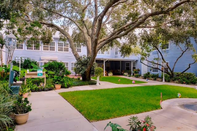 A peaceful outdoor courtyard area at Volante of Largo featuring a large tree in the center, surrounded by well-maintained green grass, potted plants, and a paved walkway. The courtyard is enclosed by a two-story building with multiple windows and a covered patio area with seating.