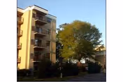 Four-story residential building with balconies beside a large tree under a clear sky.