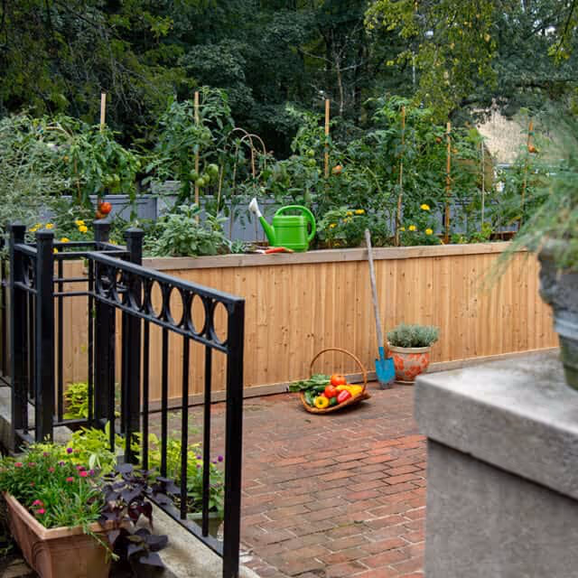 A raised garden bed with various green plants and vegetables growing, surrounded by a black metal fence. A green watering can and gardening tools are placed on the edge of the garden bed. A basket with freshly picked vegetables is on the brick-paved ground next to a small potted plant and a blue garden trowel. Trees and greenery are visible in the background.