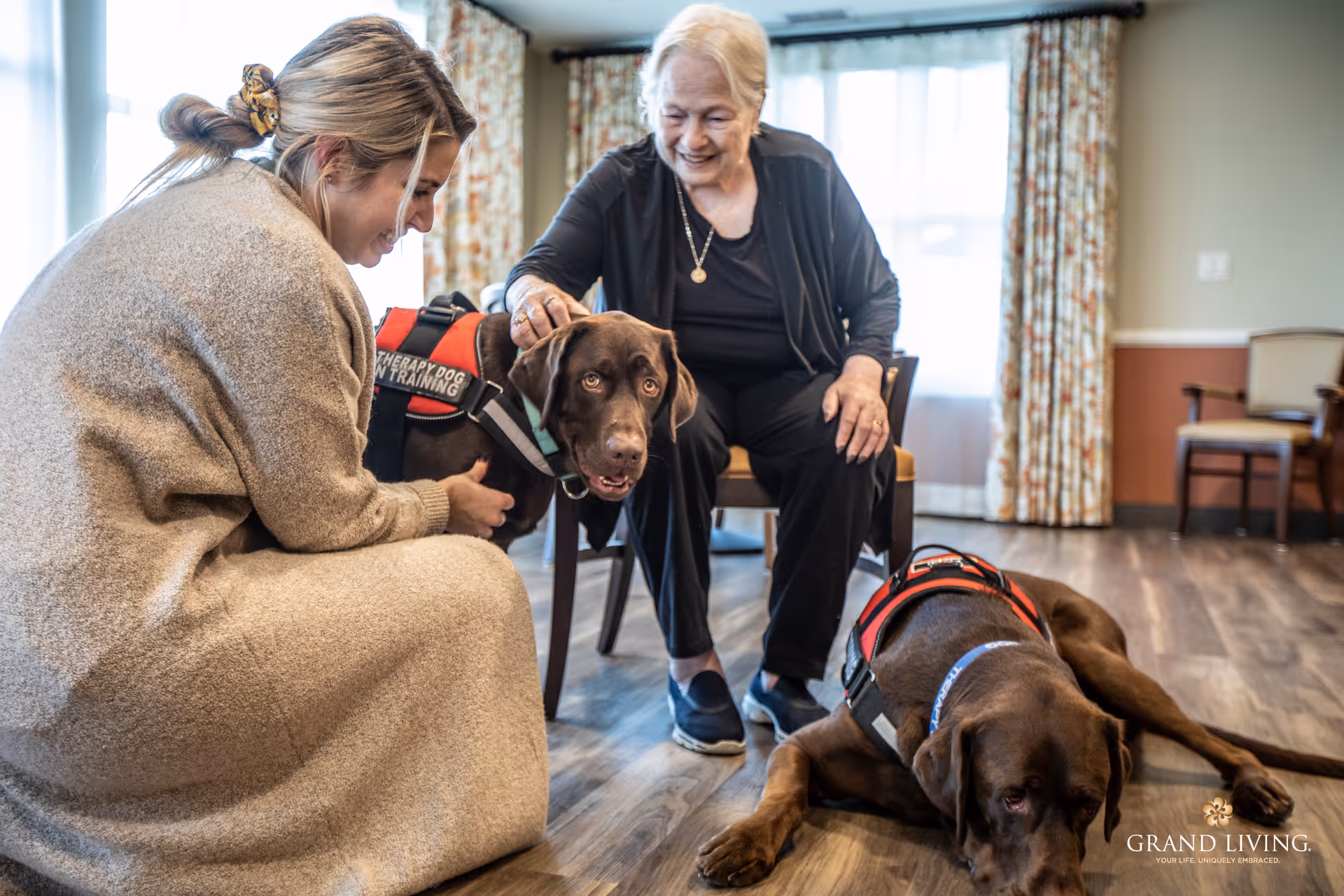 An older woman and a caregiver interact with two therapy dogs in a bright common room.