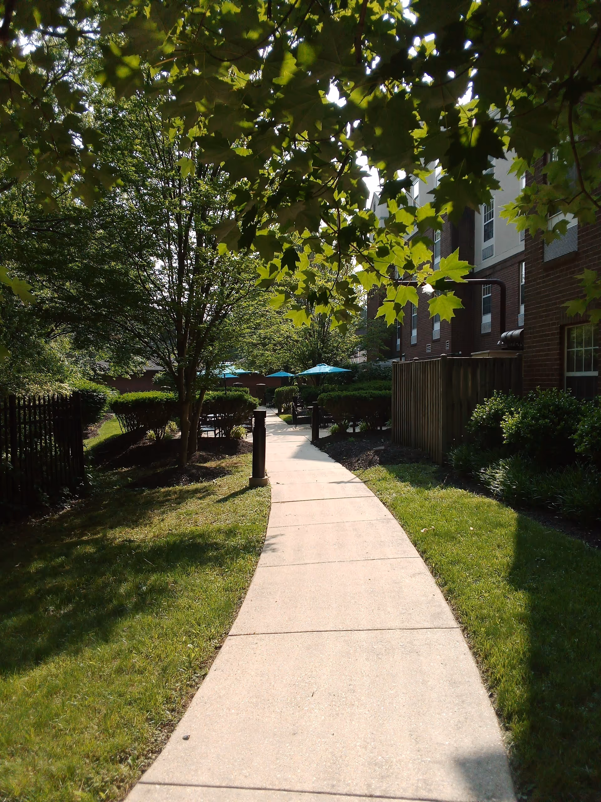 A paved walkway curves through a green outdoor area with grass, trees, and bushes. On the right side, there is a brick building with multiple windows. In the distance, there are several tables with blue umbrellas providing shade. The scene is sunlit with shadows from the trees overhead.