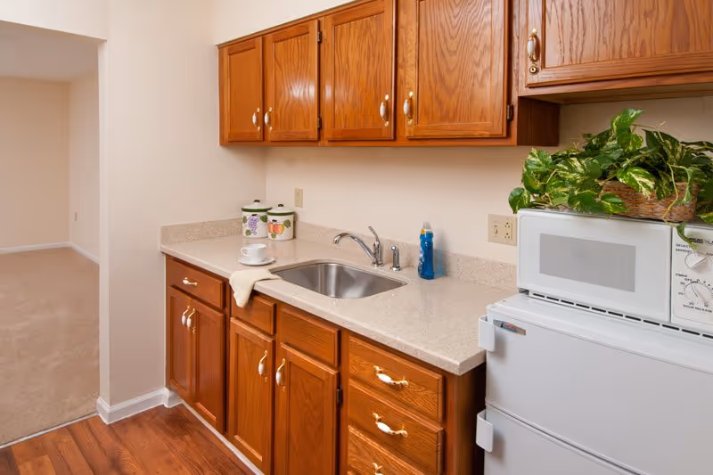 A small kitchen area with wooden cabinets, a countertop with a sink, a white microwave on top of a white mini refrigerator, a dish soap bottle, two decorative canisters, a cup and saucer, and a green leafy plant in a basket.