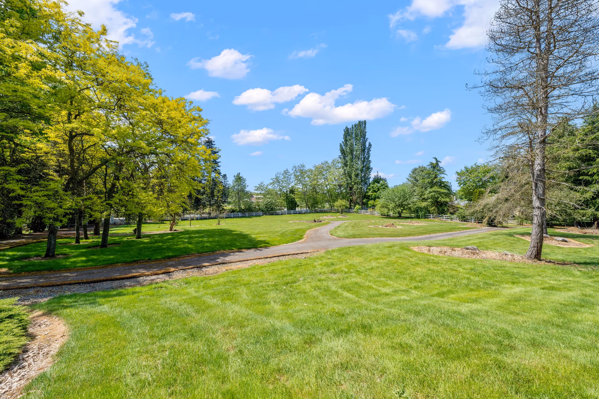 A spacious outdoor area with a well-maintained green lawn, several trees, and a winding paved pathway under a blue sky with scattered white clouds.