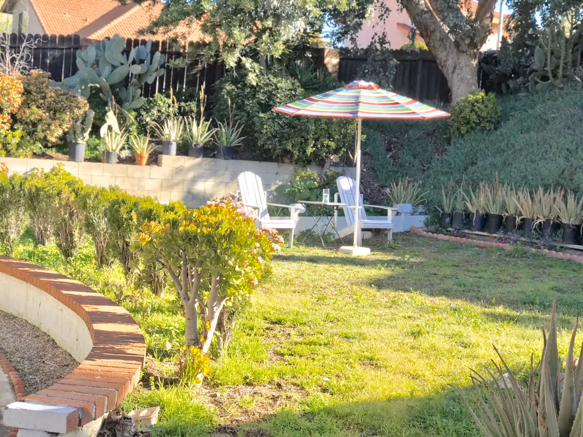 A sunny garden area with green grass, various plants, and shrubs. Two white wooden chairs are positioned around a small table with a colorful striped umbrella providing shade. A brick and concrete curved low wall borders part of the garden. Trees and a wooden fence are visible in the background.
