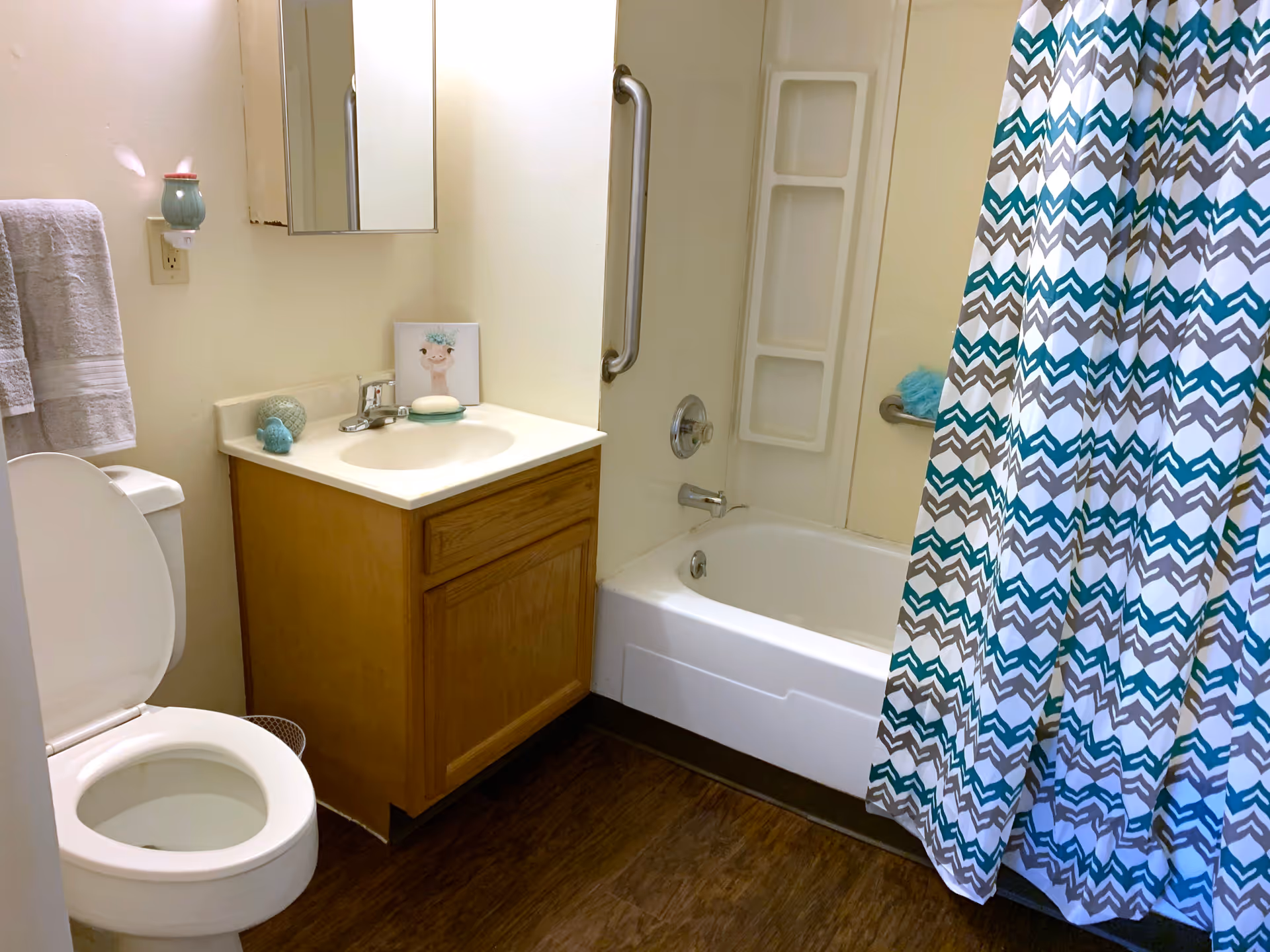 A bathroom with a white toilet, wooden vanity with a sink, a mirror cabinet above the sink, and a bathtub with a patterned shower curtain in teal, gray, and white. The bathroom has grab bars near the bathtub and a towel hanging on the wall.