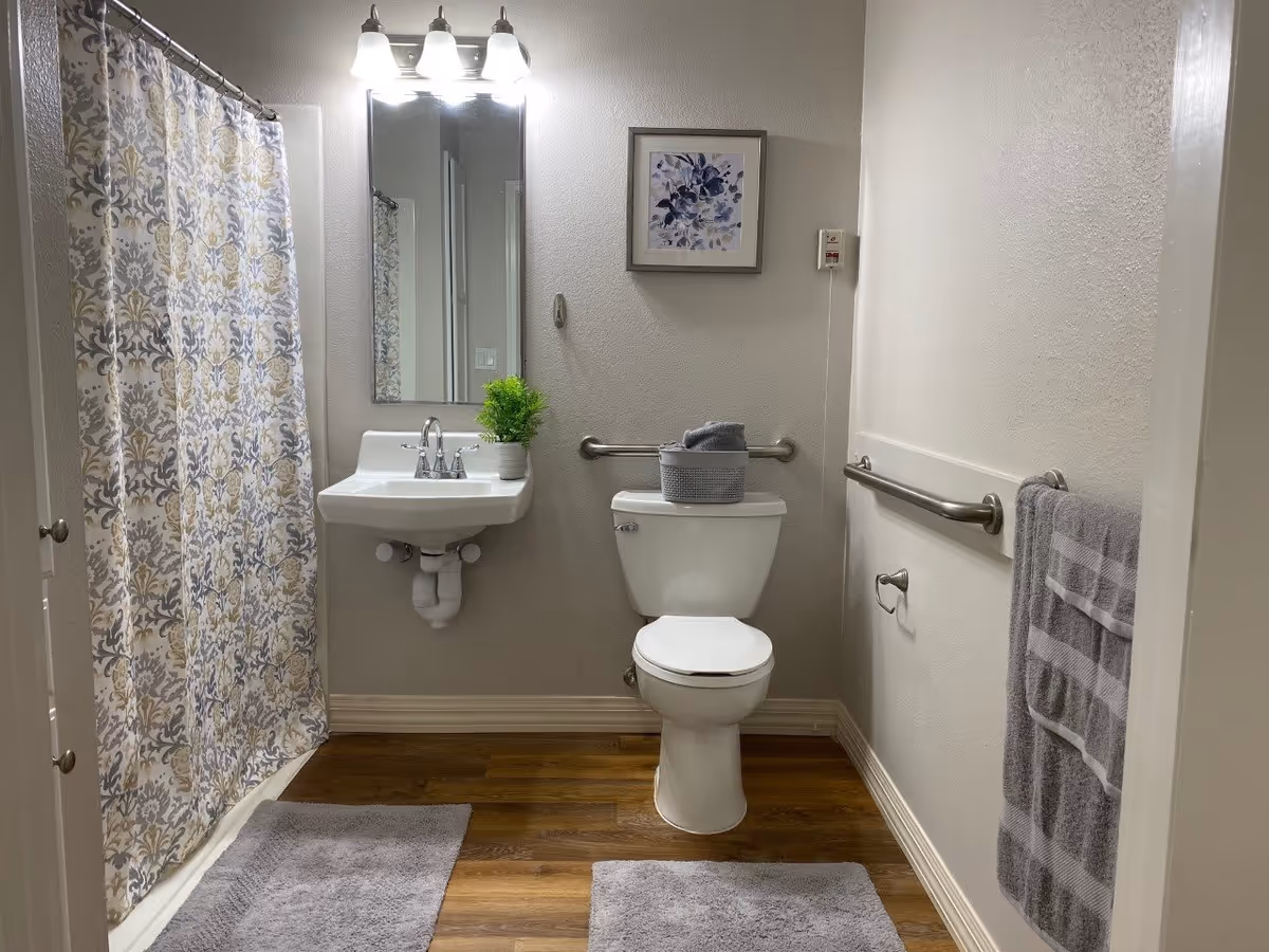 A clean bathroom with a white toilet and a wall-mounted sink. There is a patterned shower curtain on the left, a rectangular mirror above the sink, and a small potted plant on the sink. Two gray bath mats are on the wooden floor. A gray towel hangs on a rail to the right, and a framed floral artwork is on the wall above the toilet. The bathroom has grab bars installed near the toilet and along the right wall.