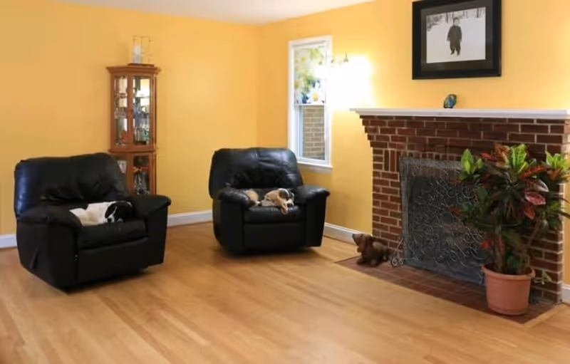 A cozy living room with yellow walls and wooden flooring featuring two black leather armchairs, each with a small dog resting on it. There is a brick fireplace with a decorative metal screen, a potted plant on the right side, and a small teddy bear on the floor near the fireplace. A wooden display cabinet with glass doors is in the corner, and a black and white framed photo hangs above the fireplace.