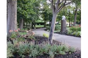 Well-landscaped outdoor pathway with trees and a statue on a paved garden area.