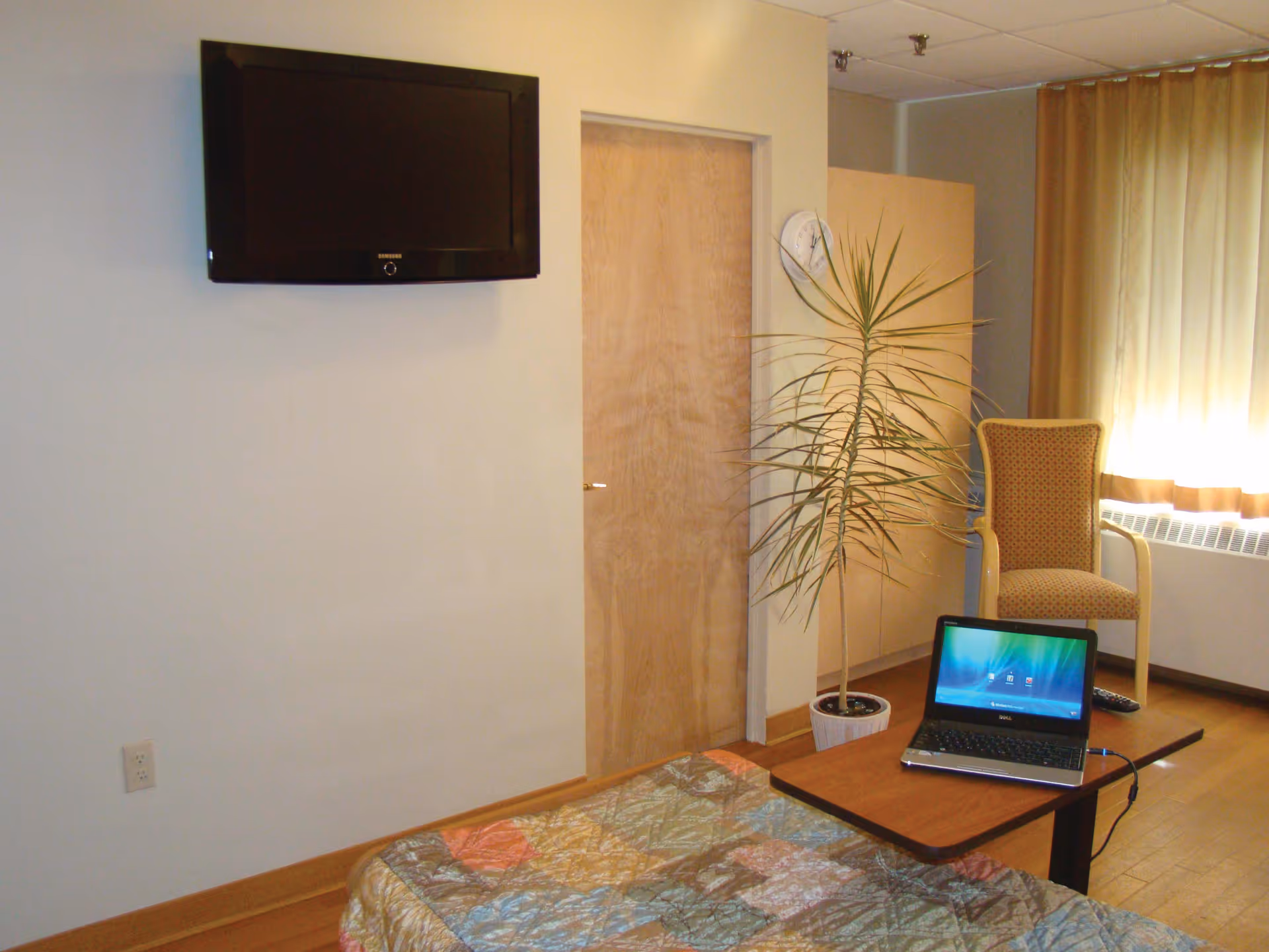 A small room with a bed covered by a colorful quilt, a wall-mounted flat screen TV, a wooden door, a potted tall plant, a wooden table with a laptop on it, a cushioned chair, and a window with beige curtains letting in natural light.
