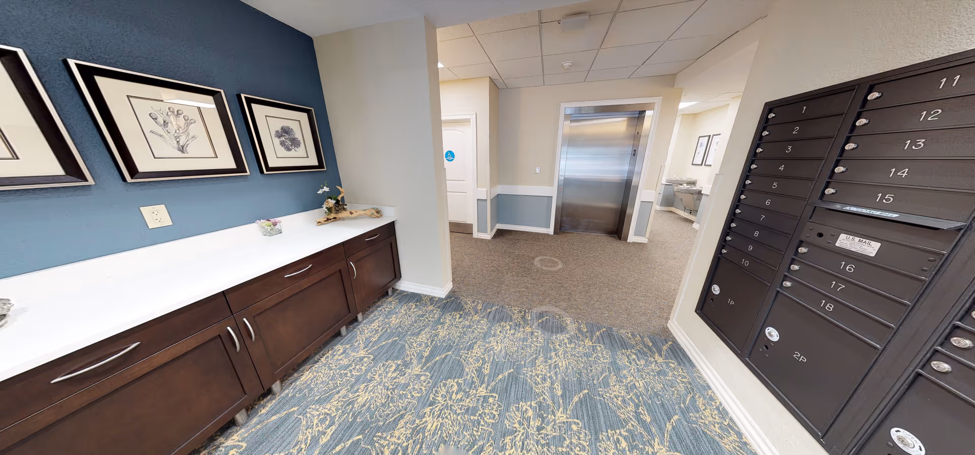Interior view of a senior living facility hallway featuring a blue and beige color scheme. On the left side, there is a long wooden cabinet with a white countertop decorated with small items and framed botanical artwork hanging above. On the right side, there are multiple black mailboxes mounted on the wall. In the background, there is an elevator with closed stainless steel doors and a hallway leading to other rooms.