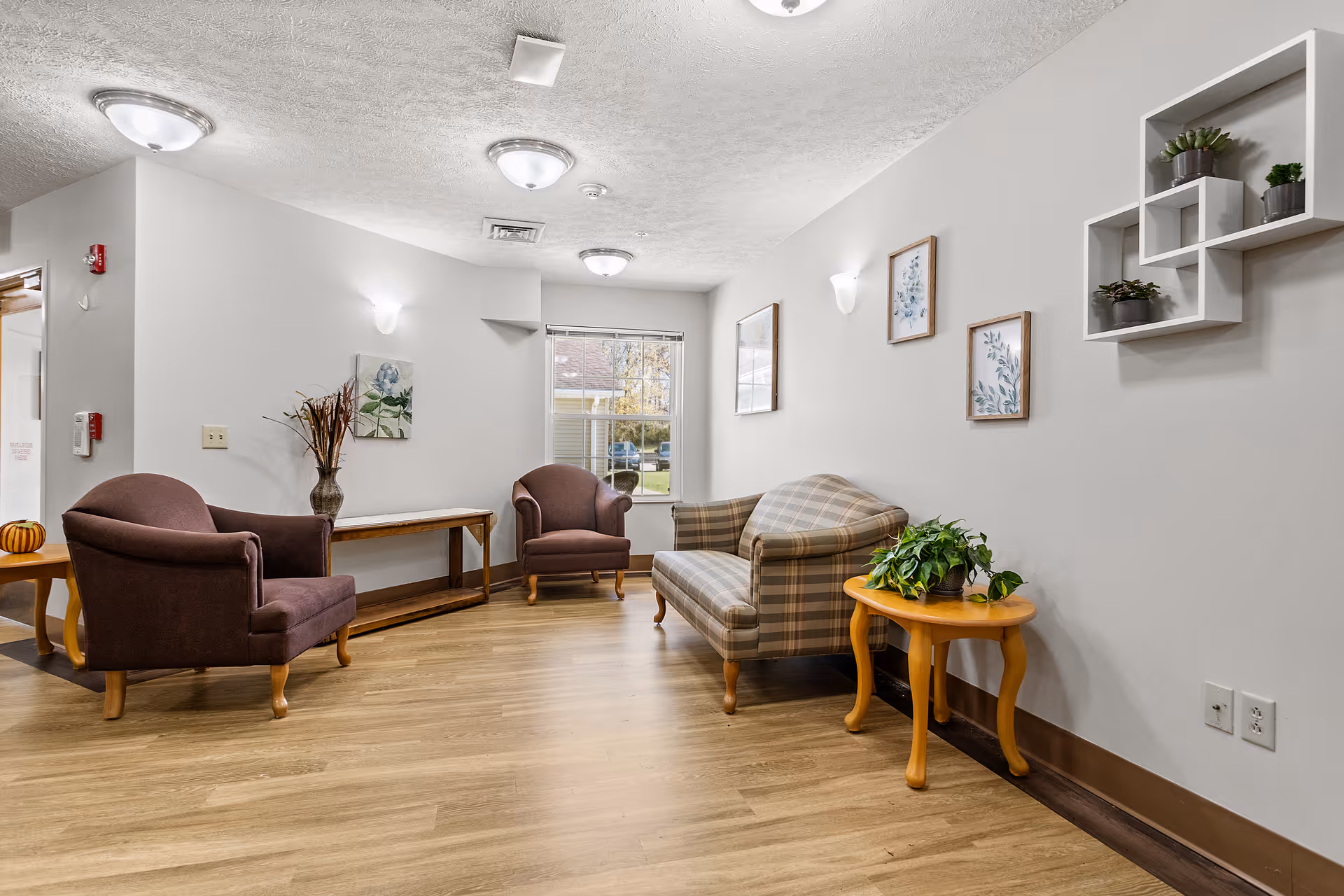 A cozy sitting area in a senior living facility with two brown armchairs, a plaid sofa, a wooden side table with a green plant, wall-mounted shelves with small potted plants, framed botanical artwork on the walls, and a window letting in natural light.