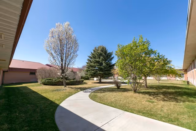 Curved concrete walkway surrounded by grass and various trees, including a blooming tree and evergreen, between two single-story buildings under a clear blue sky.