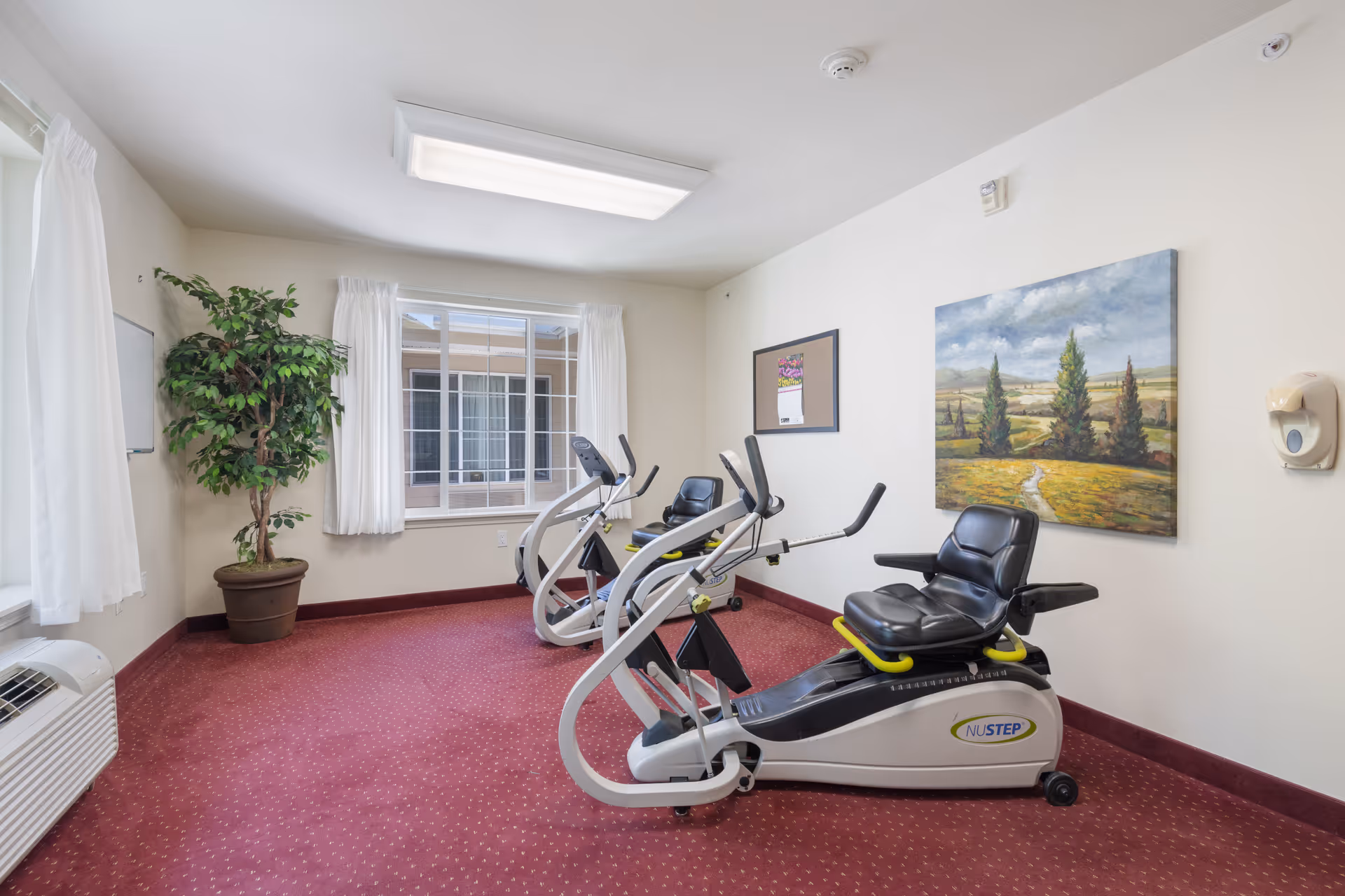 A small exercise room with two NuStep recumbent cross trainers on a red carpeted floor. The room has cream-colored walls, a large window with white curtains, a potted plant in the corner, a landscape painting on the wall, and a wall-mounted hand sanitizer dispenser.