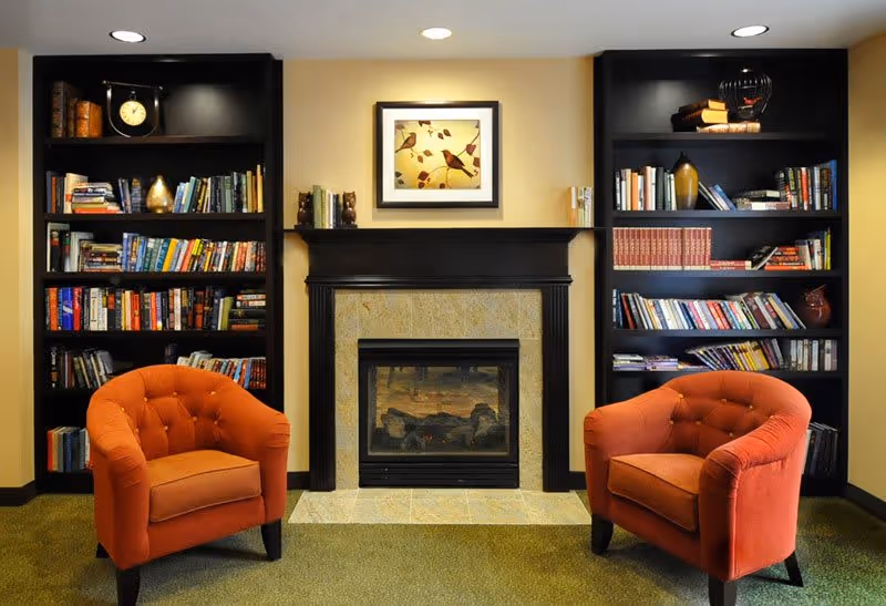 A cozy sitting area with two orange armchairs facing each other in front of a fireplace. The fireplace is framed by black shelves filled with books and decorative items. Above the fireplace hangs a framed picture of birds on branches. The room has a warm and inviting atmosphere.
