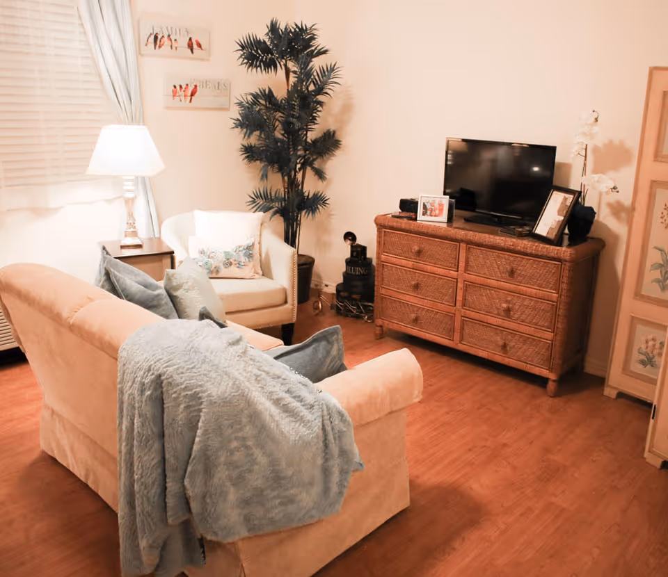 Cozy living room with a beige sofa draped with a light blue blanket and matching pillows, a white armchair with a decorative pillow, a wooden side table with a lamp, a tall green plant, a wicker dresser with a flat-screen TV and framed photos, and light-colored walls with bird-themed artwork.