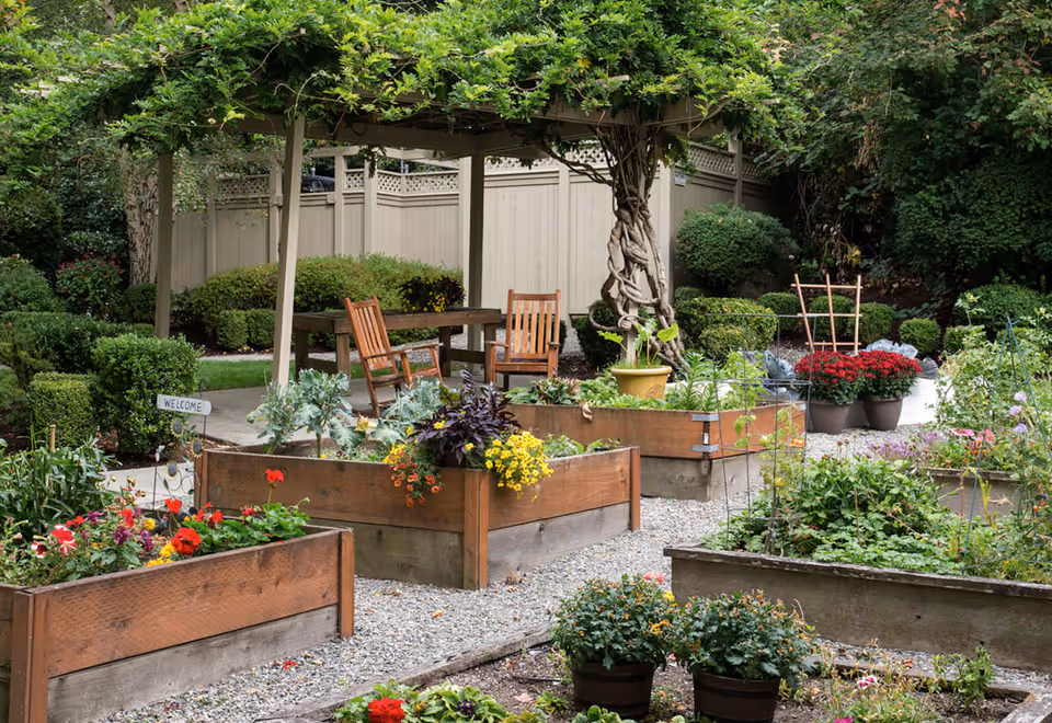 A peaceful outdoor garden area with multiple raised wooden flower beds filled with colorful flowers and plants. There is a pergola with green vines overhead, under which two wooden chairs and a table are placed. The garden is surrounded by neatly trimmed bushes and a wooden fence, creating a serene and inviting atmosphere.
