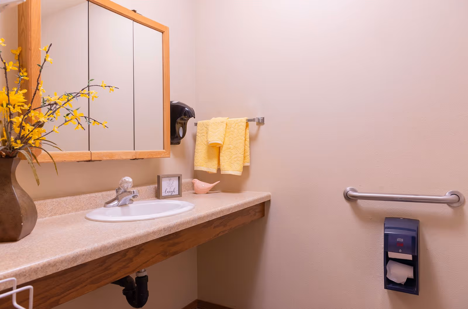Accessible restroom sink area with mirror, countertop, yellow hand towels, grab bar, and toilet paper dispenser.