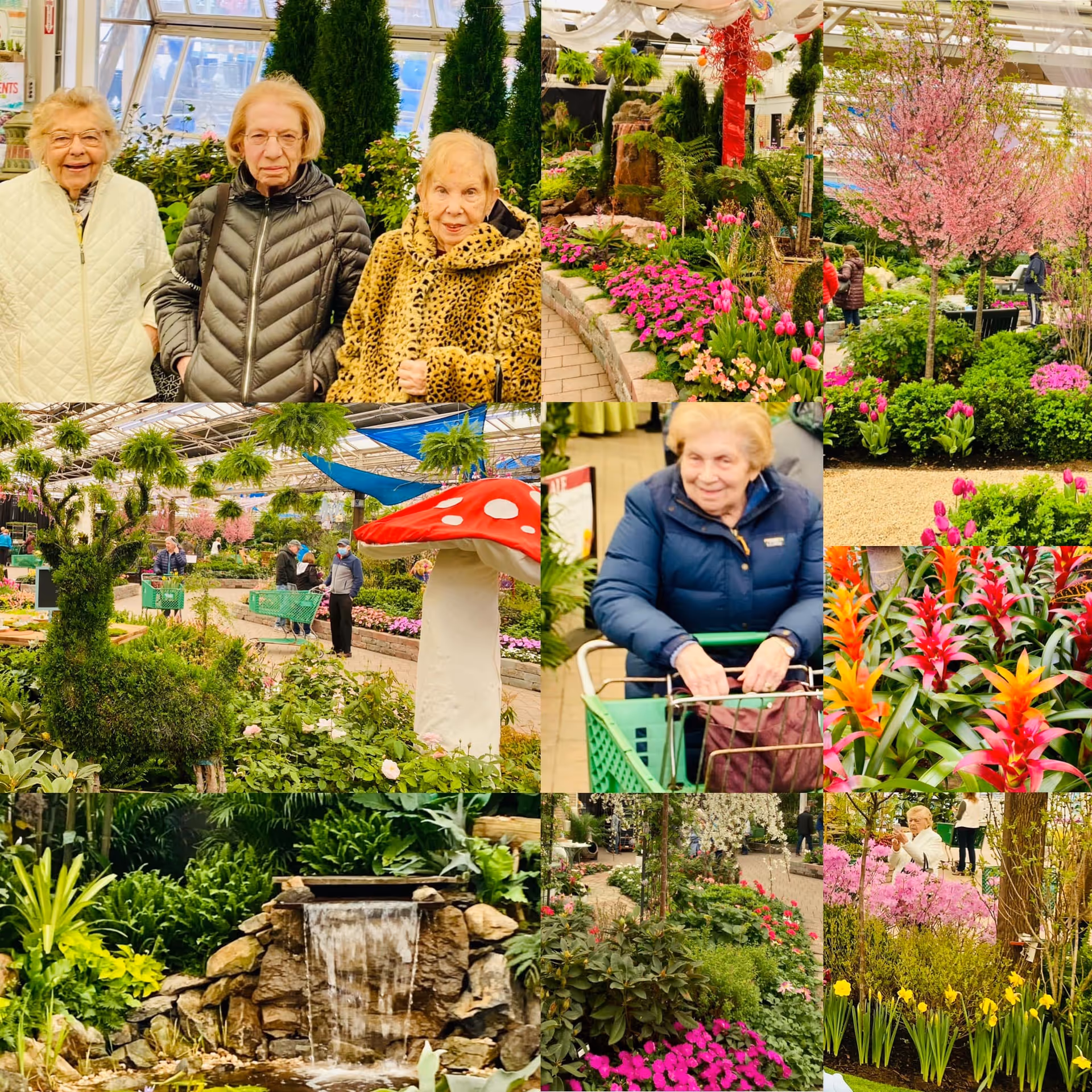 A collage-style image showing elderly residents shopping and posing amid colorful flowers, plants, a decorative mushroom, and a small waterfall inside a greenhouse.