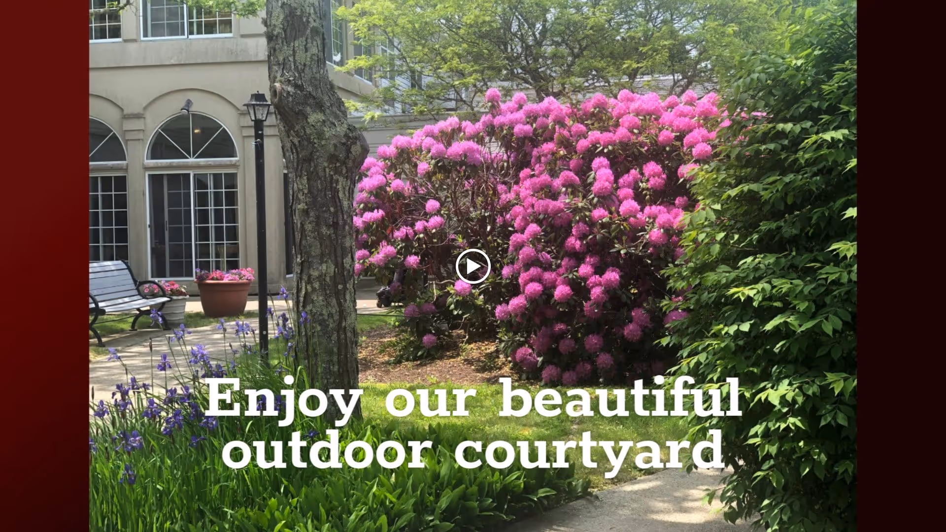 Outdoor courtyard with blooming pink and purple flowers, green shrubs, a tree, benches, and a building with large windows in the background.