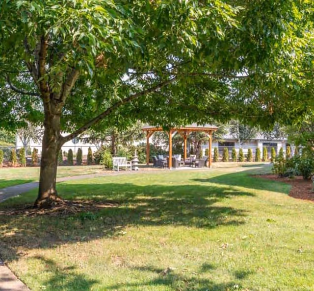 A green outdoor area with a large tree in the foreground, a wooden pergola with outdoor seating underneath, a white bench, and a paved pathway. The background includes a row of tall shrubs and a building partially visible behind them.