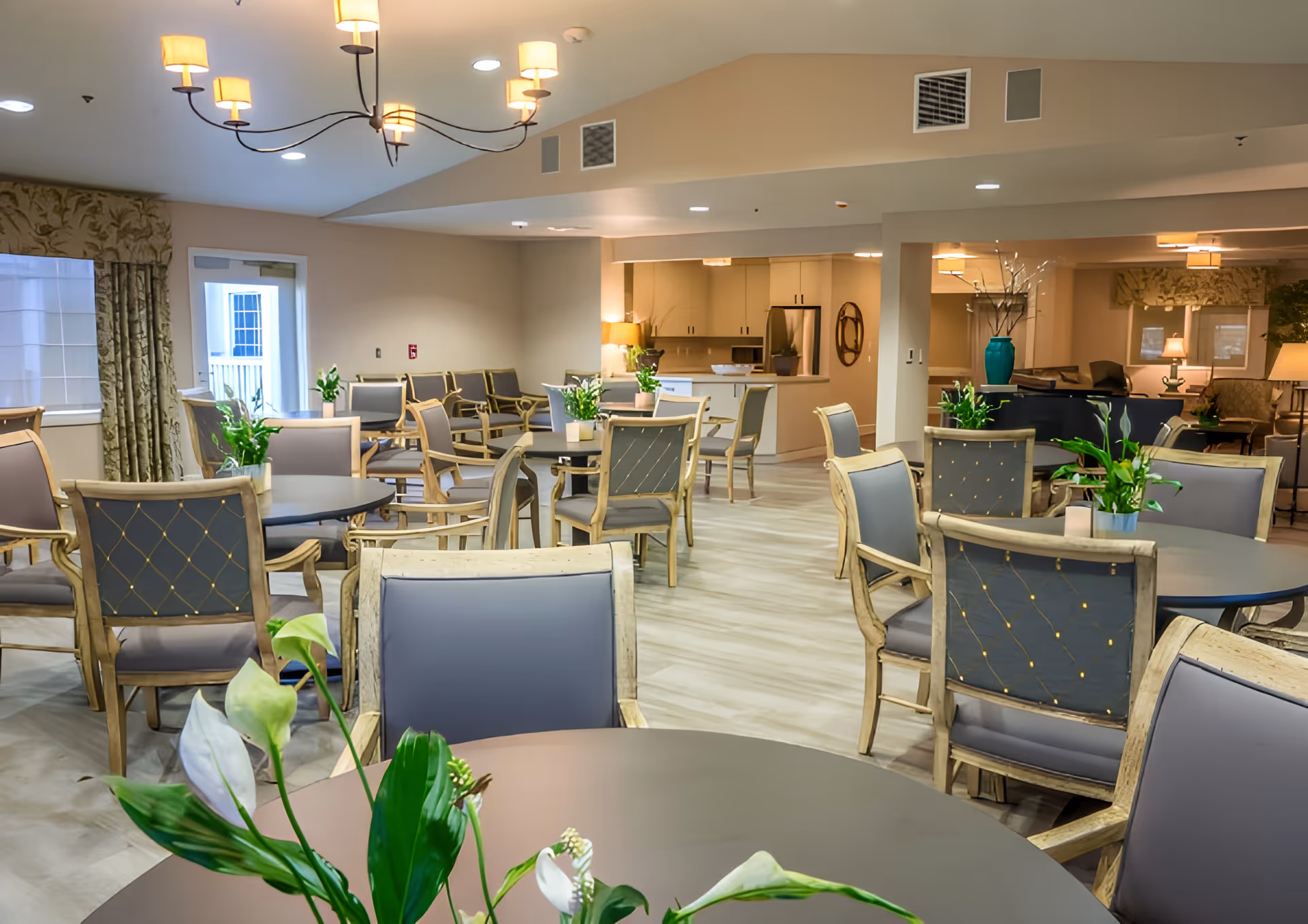 Spacious communal dining area with round tables, upholstered chairs, potted plants, and a kitchenette in the background.