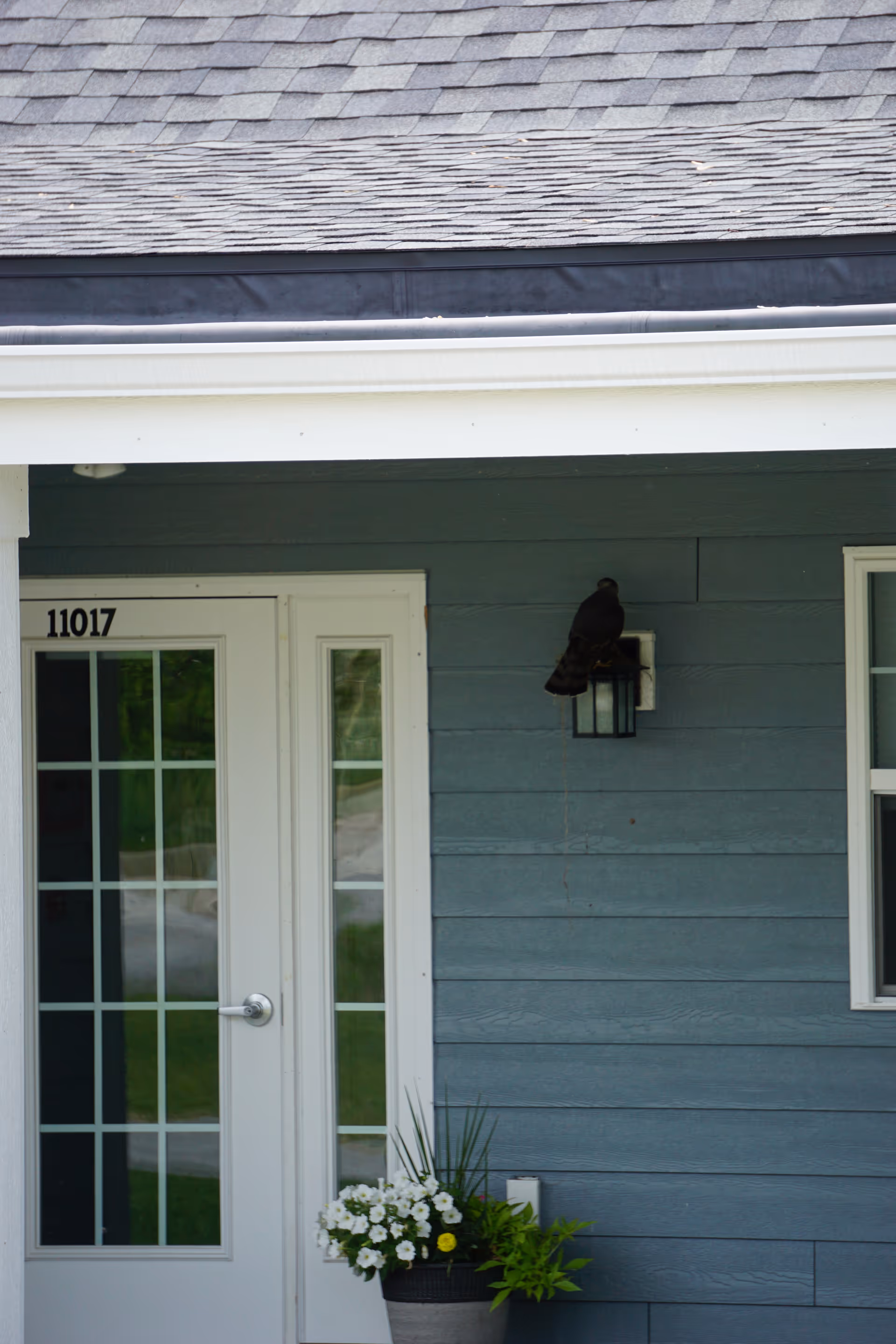 Exterior view of a blue-sided entrance with a white glass-paneled door numbered 11017, a potted flower arrangement, and a bird perched on a porch light.