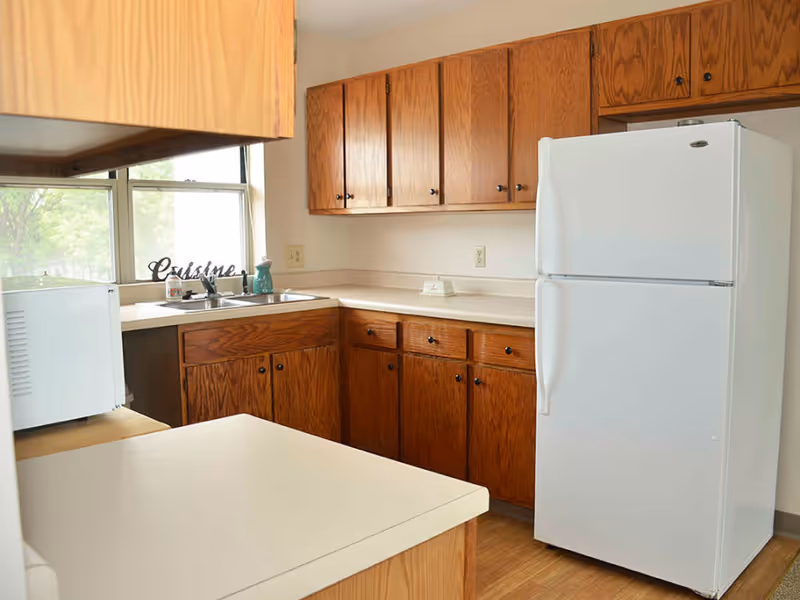 A kitchen with wooden cabinets, a white refrigerator, a microwave, a double sink under a window, and light-colored countertops. The window shows some greenery outside.
