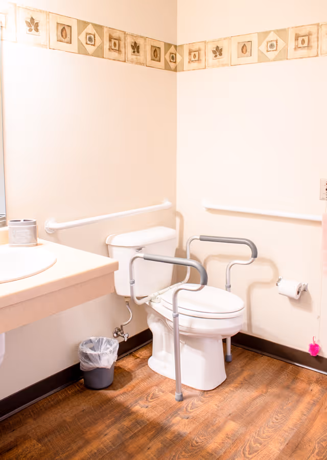 Accessible bathroom featuring a toilet with removable support rails, wall grab bars, a sink countertop, toilet paper holder, and a small trash can on wood-look flooring.