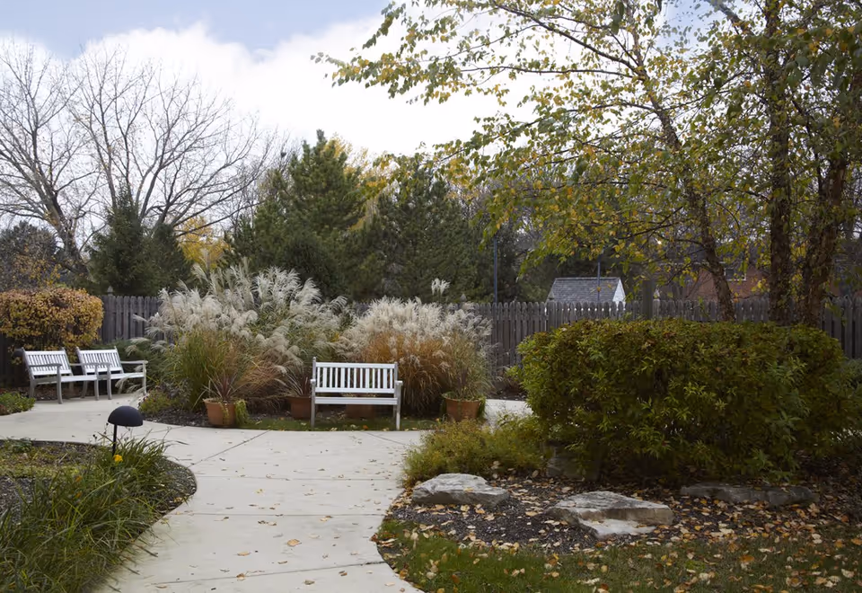 Outdoor garden area with a curved concrete pathway, white benches, ornamental grasses, shrubs, and trees with some leaves fallen on the ground under a partly cloudy sky.