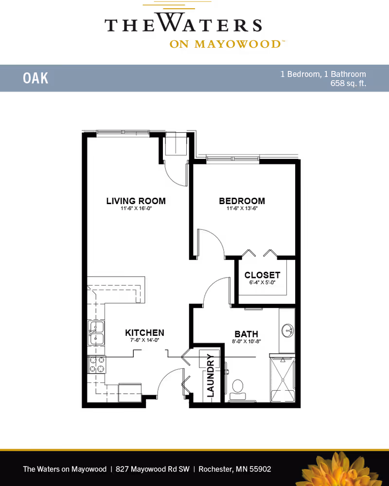 Graphic floor-plan cover for The Waters on Mayowood labeled "OAK" showing "1 Bedroom, 1 Bathroom, 658 sq. ft." with the facility name and address.