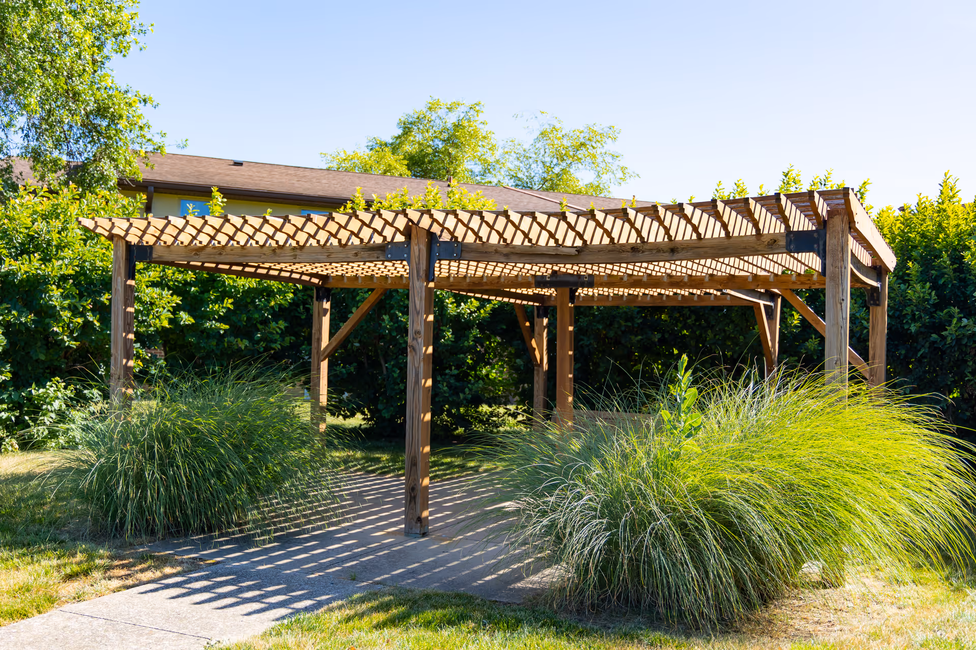 A wooden pergola structure in a garden area with green bushes and tall grass surrounding it, under a clear blue sky.