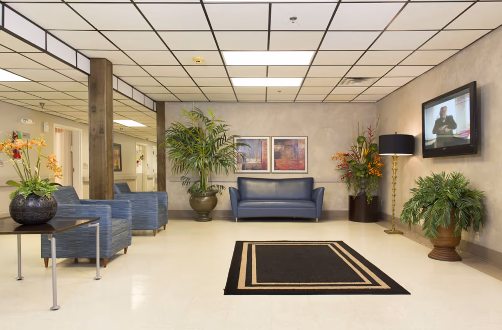 A waiting area in Stella Manor featuring a blue leather loveseat, two blue armchairs, a black and beige rectangular rug, several potted plants, a floor lamp with a black shade, two framed abstract paintings on the wall, and a wall-mounted television displaying a person.