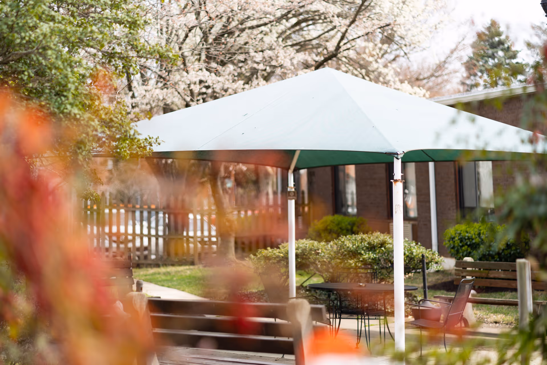 Outdoor seating area with a green canopy providing shade over a table and chairs, surrounded by trees and bushes with a building in the background.
