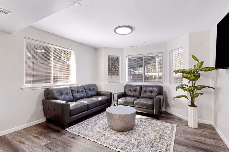 A bright living room with two black leather sofas arranged around a round textured coffee table on a patterned area rug. The room has large windows with white blinds, a potted plant in a white planter, and a wall-mounted flat screen TV. The flooring is wood-style laminate and the walls are painted white.