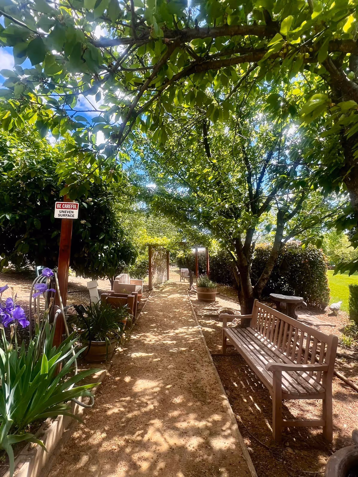 A shaded outdoor garden pathway at River Commons Senior Living, lined with trees, plants, and flowers. There are wooden benches and chairs along the path, with a sign that reads 'BE CAREFUL UNEVEN SURFACE'. The path leads to a wooden trellis and a sunny grassy area beyond.