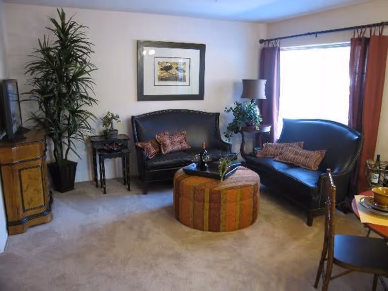 A cozy living room with two black leather sofas adorned with decorative pillows, a round striped ottoman in the center, a wooden TV stand with a television, potted plants, a framed picture on the wall, and a window with red curtains letting in natural light.