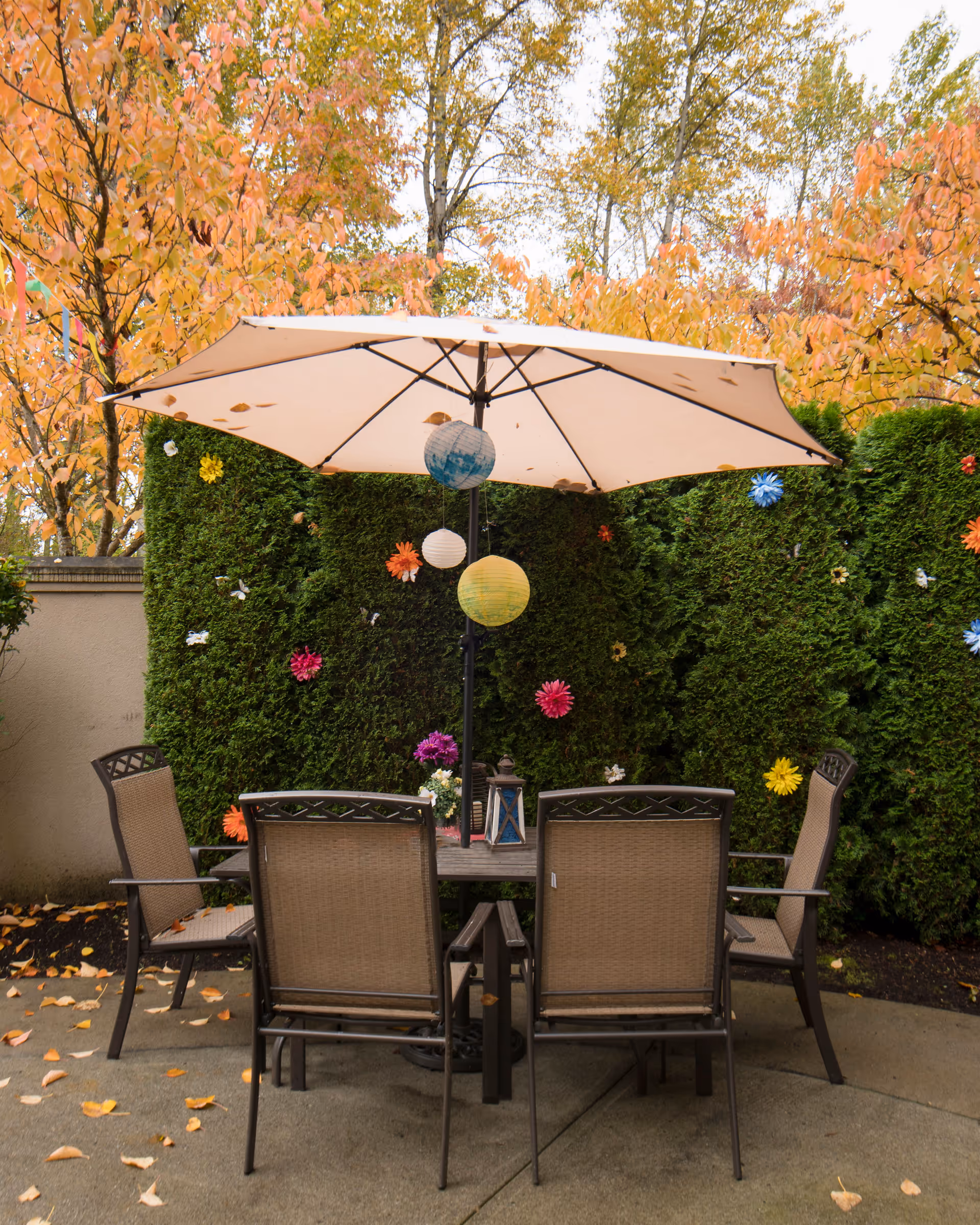 Patio dining set with an umbrella and hanging paper lanterns in front of a green hedge and autumn trees.