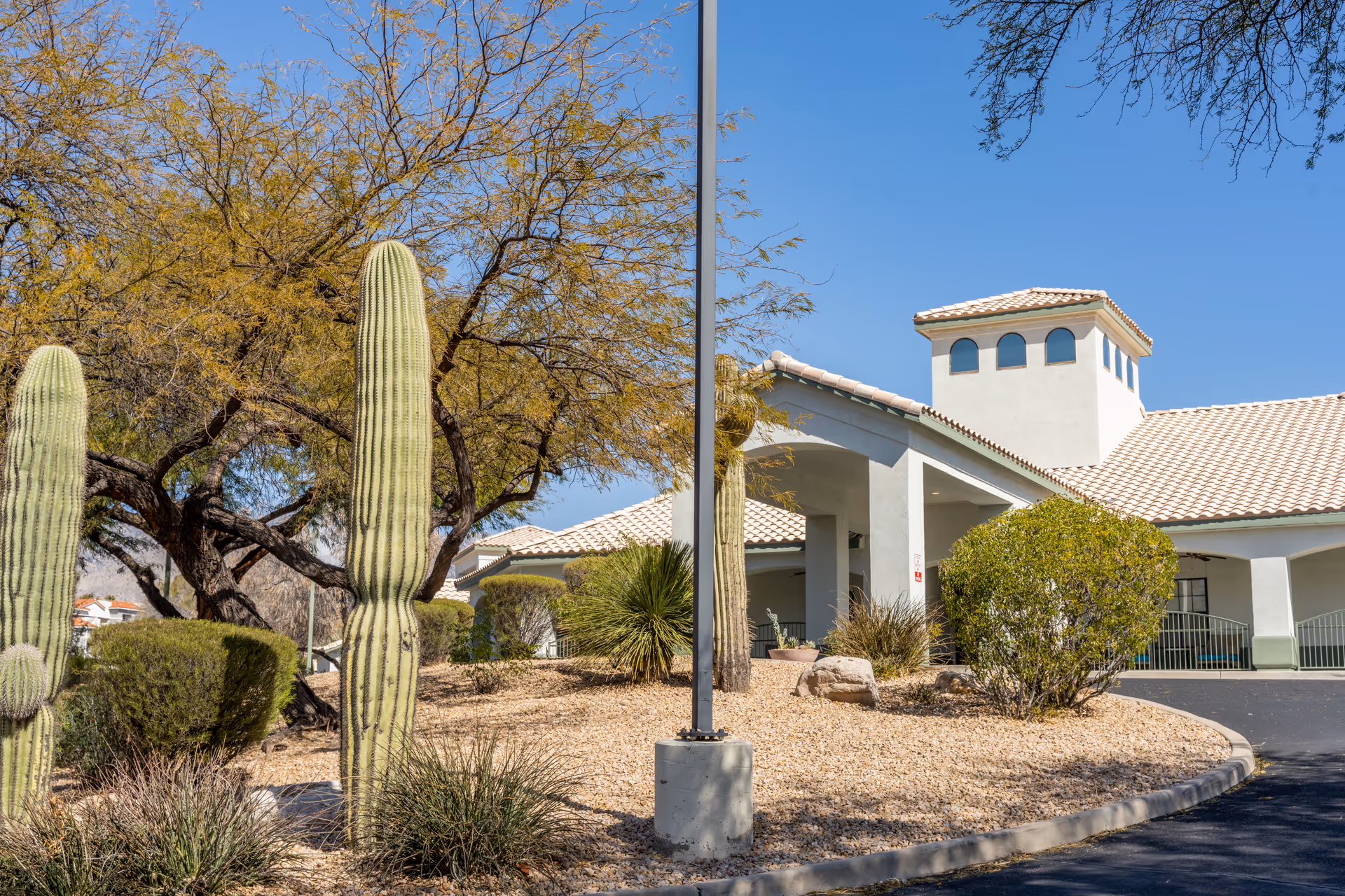 Exterior view of a senior living facility with a tiled roof and white walls, surrounded by desert landscaping including tall cacti, bushes, and trees under a clear blue sky.