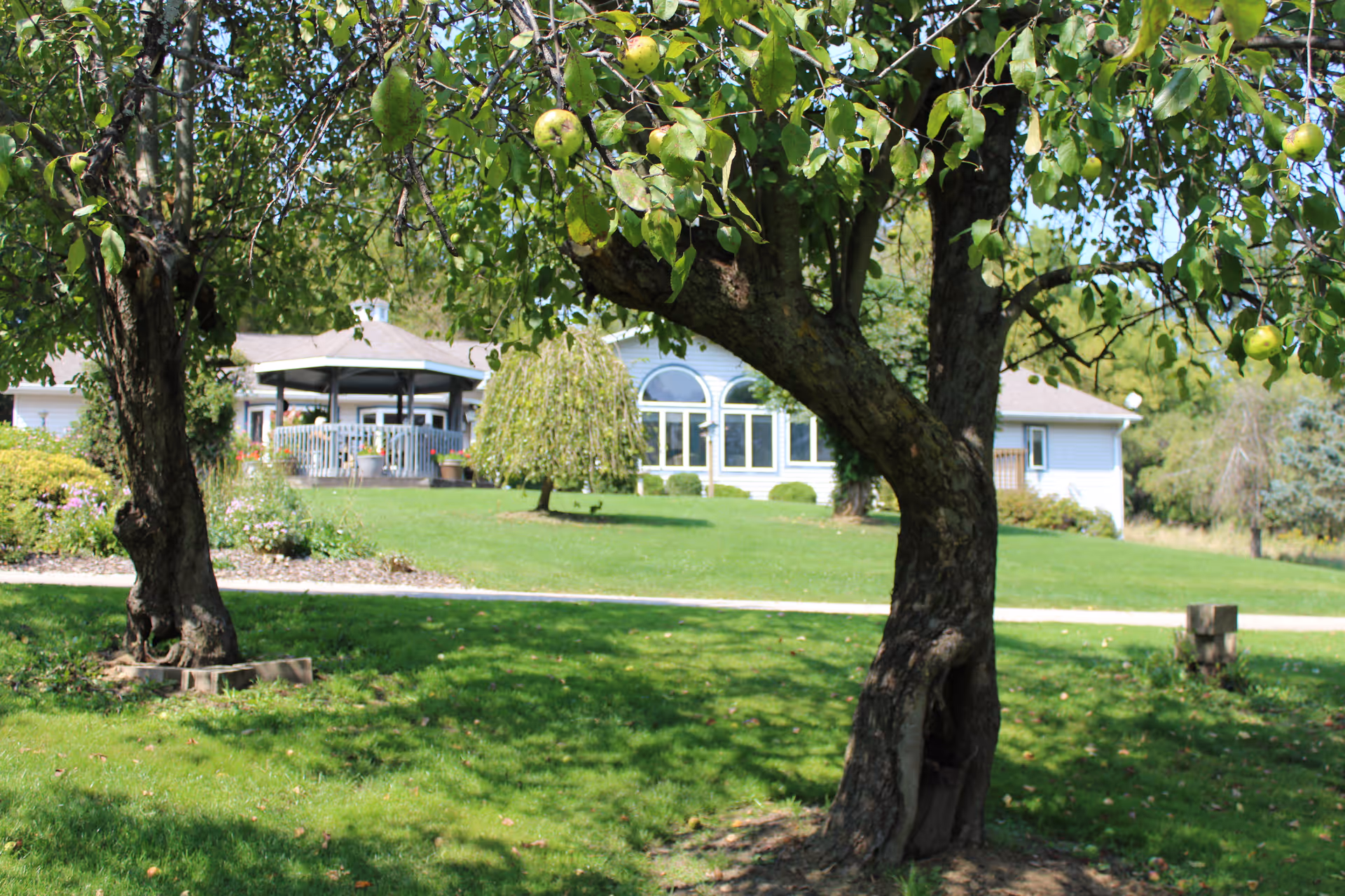 Green lawn and trees frame the front of a single-story building with arched windows and a covered porch.