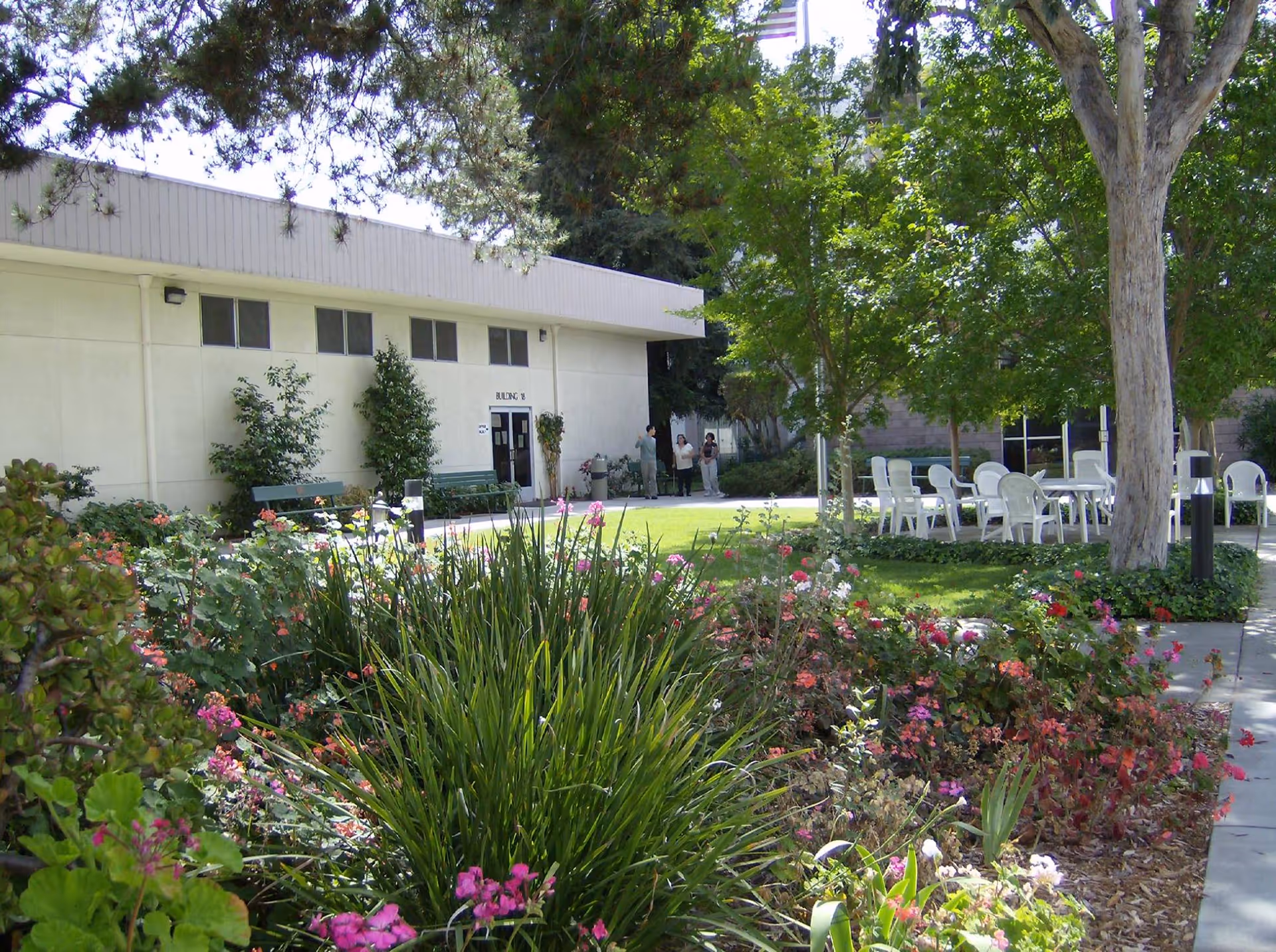 Outdoor courtyard with flower beds, trees, white patio chairs and a low building entrance.