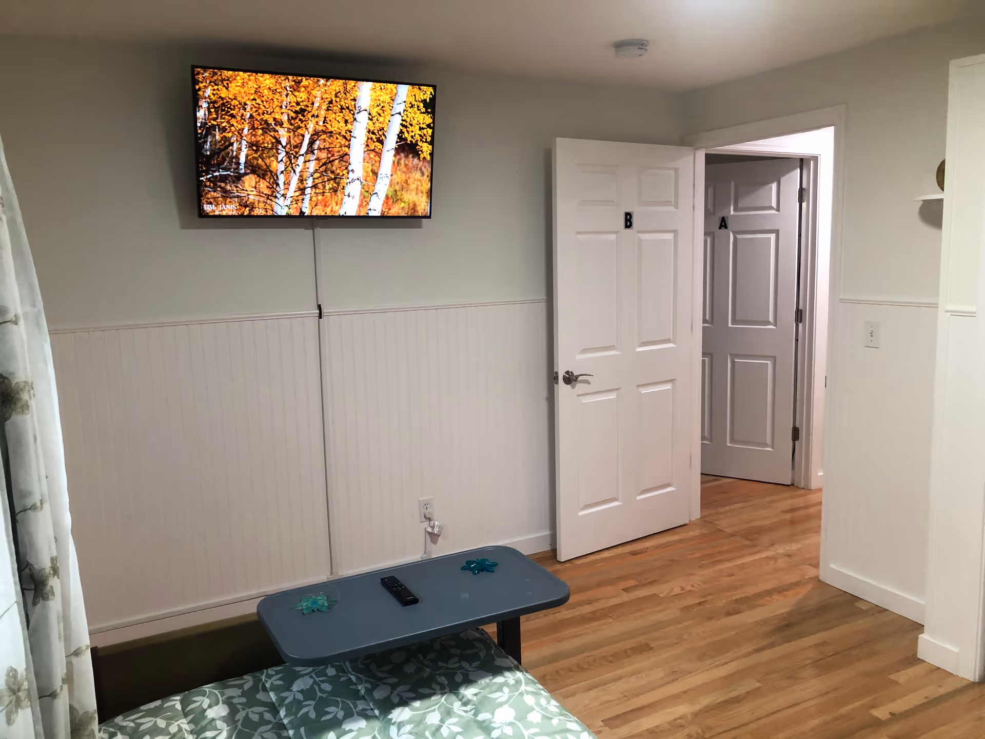 A small living area with a wall-mounted flat screen TV displaying an autumn scene with birch trees. Below the TV is a small table with a remote control and two decorative items. There is a green floral-patterned couch partially visible in the foreground. Two white doors labeled 'A' and 'B' are open, revealing a hallway with wooden flooring and white walls.