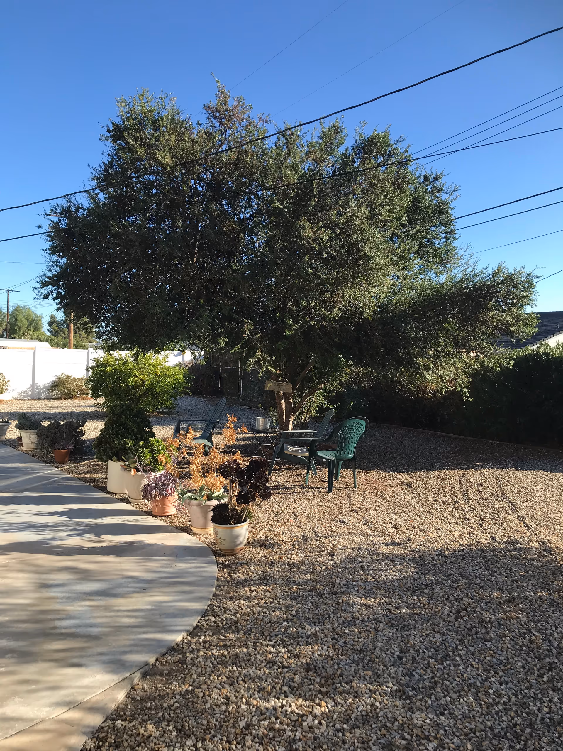 Gravel backyard with potted plants, plastic chairs and a small table under a large tree beneath a clear blue sky.
