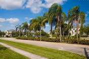 A sunny street view lined with tall palm trees and well-maintained green grass, with residential buildings visible in the background under a blue sky with scattered clouds.