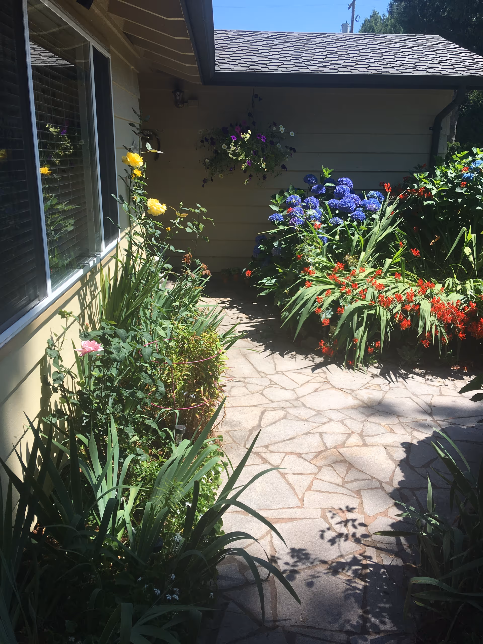 A stone-paved walkway beside a building with a window on the left. The walkway is bordered by lush garden beds filled with various flowering plants including yellow, pink, purple, and red flowers. A hanging basket with purple and white flowers is attached to the building wall. The sky is clear and blue.