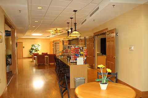Bright communal dining and lounge area with a snack-bar island, pendant lights, seating and a small round table with a potted plant.